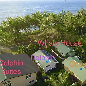  Holiday home Whale House At Kehena United States